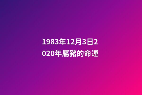 1983年12月3日2020年屬豬的命運 (1983年屬豬2023年運勢每月運勢男)-第1張-觀點-玄機派